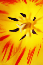 Similar image 155719