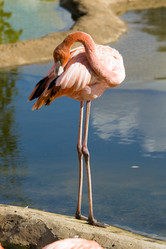 Similar image 155726