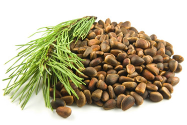 Similar image 155737