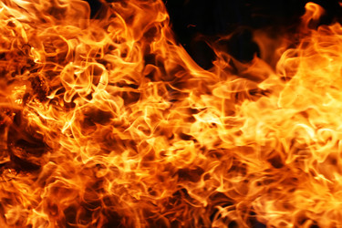 Similar image 155741