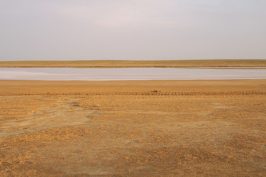 Similar image 155742