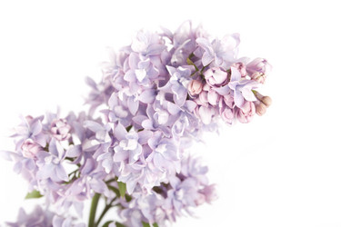 Similar image 155752