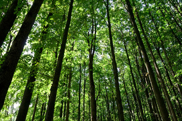 Similar image 155774