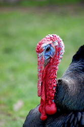 Similar image 155776