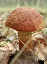 Similar image 155789