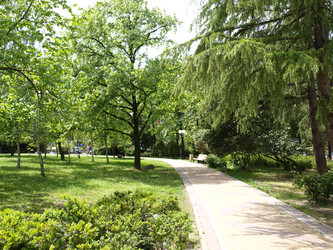 Similar image 155802