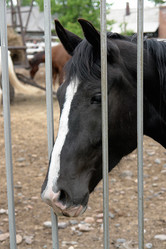 Similar image 155806