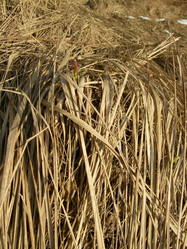 Similar image 155878