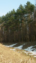 Similar image 155886