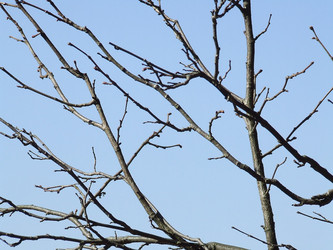 Similar image 155894