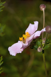 Similar image 155953