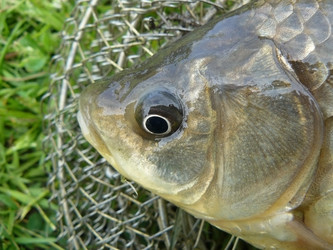 Similar image 156015