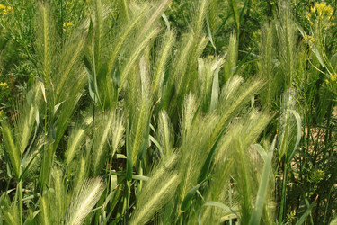 Similar image 156016