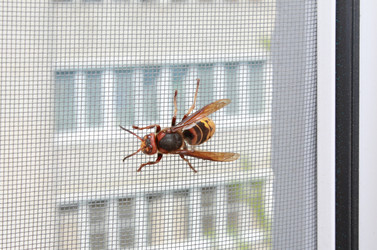 Similar image 156018