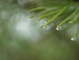 Similar image 156020