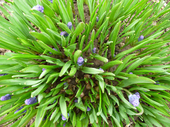 Similar image 156024