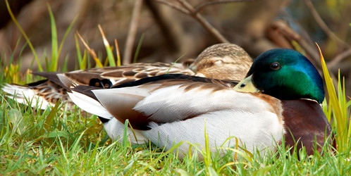 Similar image 156027