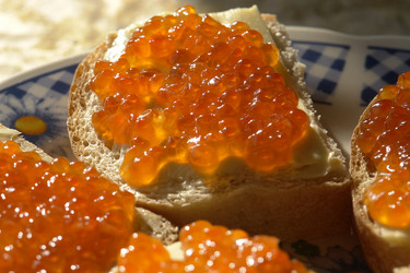 Similar image 156079