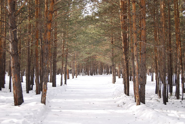 Similar image 156097