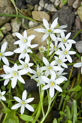 Similar image 156106