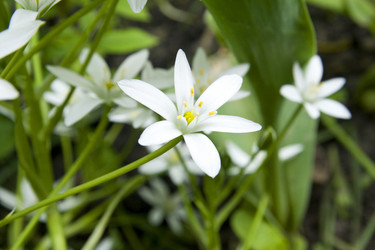 Similar image 156107