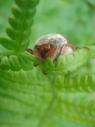 Similar image 156208