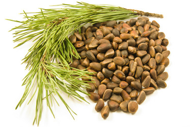 Similar image 156216