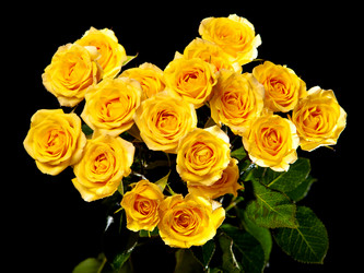 Similar image 156217