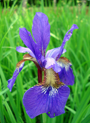 Similar image 156224