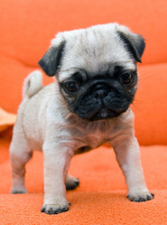 Similar image 156253