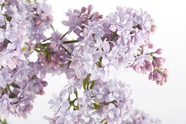 Similar image 156273