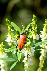 Similar image 156275