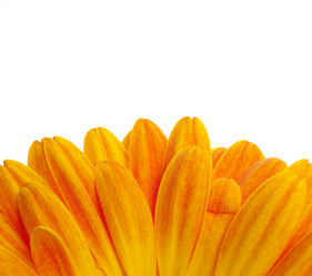 Similar image 156276