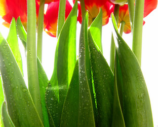 Similar image 156277