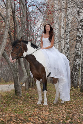 Similar image 156297