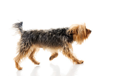 Similar image 156337