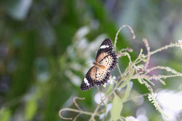 Similar image 156354