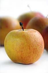 Similar image 156386