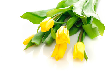 Similar image 156443