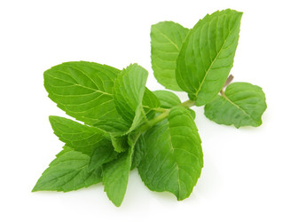 Similar image 156458