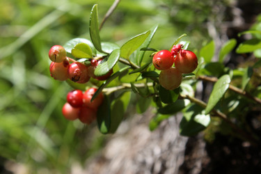 Similar image 156485