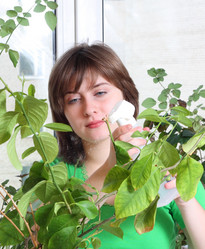 Similar image 156517