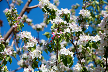 Similar image 156519