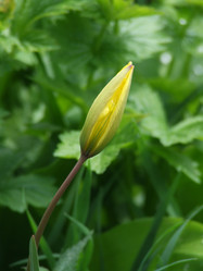 Similar image 156528