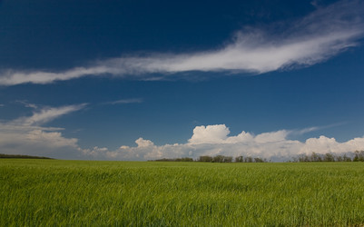 Similar image 156537