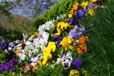 Similar image 156542