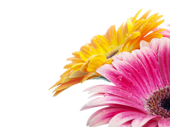 Similar image 156546