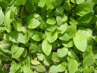 Similar image 156578