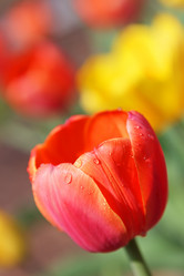 Similar image 156593