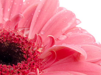 Similar image 156599